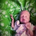 nicolereborns